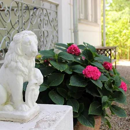 Sanssouci Sanddorn *